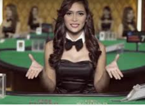 768cc娱乐棋牌2024最新版